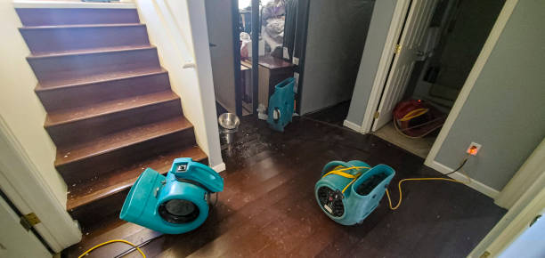 Olivet, TN Water damage restoration Company