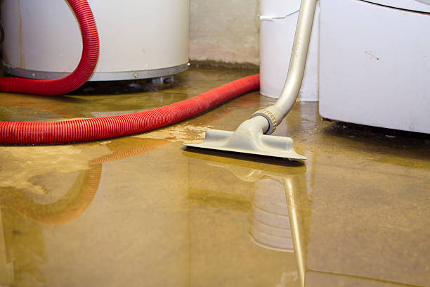 Best Water damage restoration process  in Olivet, TN