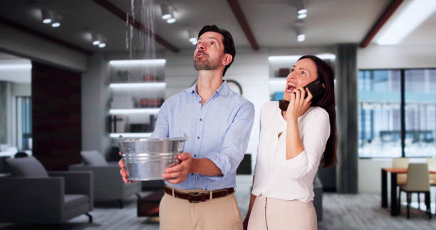 Best Water damage contractors near me  in Olivet, TN