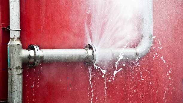Best Carpet water damage restoration  in Olivet, TN